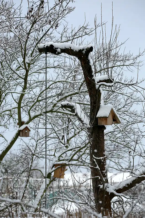 048 | 2021 | Berlin | Obersee-Orankesee-Park | © carsten riede fotografie