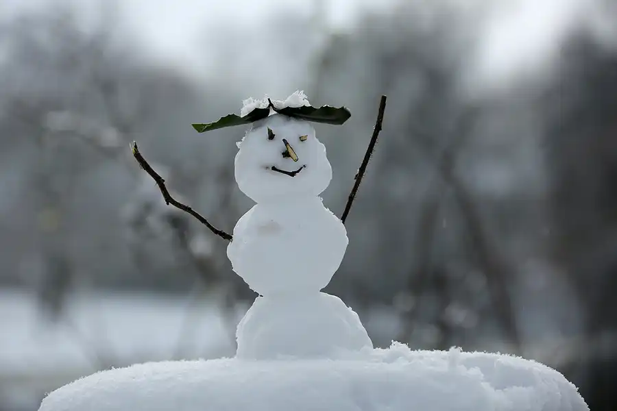 051 | 2021 | Berlin | Obersee-Orankesee-Park | © carsten riede fotografie