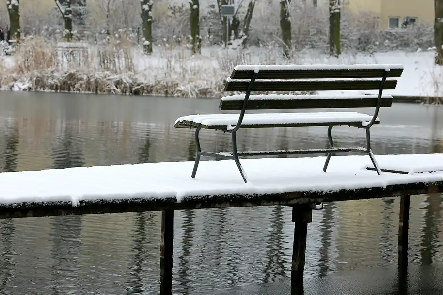 053 | 2021 | Berlin | Obersee-Orankesee-Park | © carsten riede fotografie