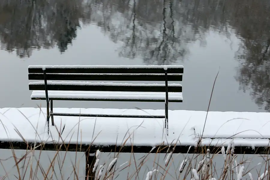 054 | 2021 | Berlin | Obersee-Orankesee-Park | © carsten riede fotografie