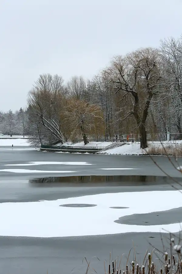 059 | 2021 | Berlin | Obersee-Orankesee-Park | © carsten riede fotografie