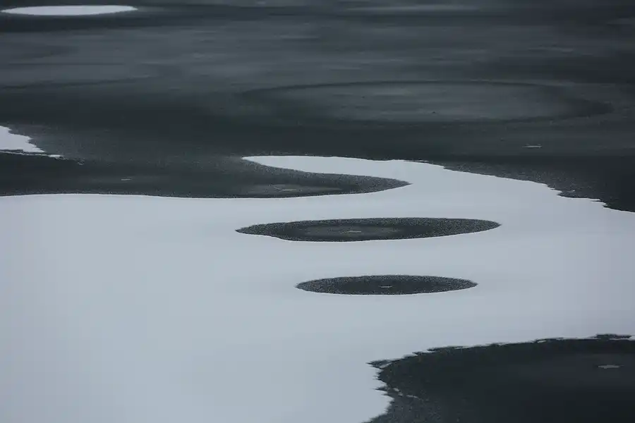 060 | 2021 | Berlin | Obersee-Orankesee-Park | © carsten riede fotografie