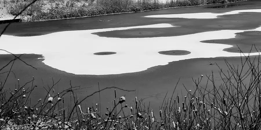 061 | 2021 | Berlin | Obersee-Orankesee-Park | © carsten riede fotografie