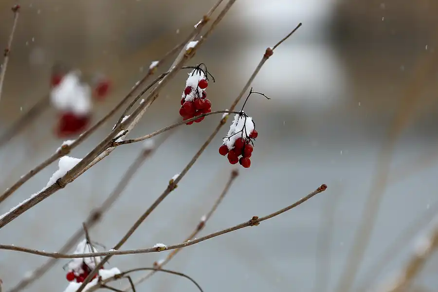 062 | 2021 | Berlin | Obersee-Orankesee-Park | © carsten riede fotografie