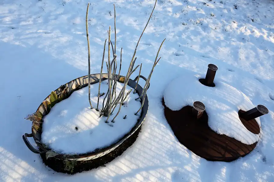 005 | 2021 | Berlin | Obersee-Orankesee-Park | © carsten riede fotografie