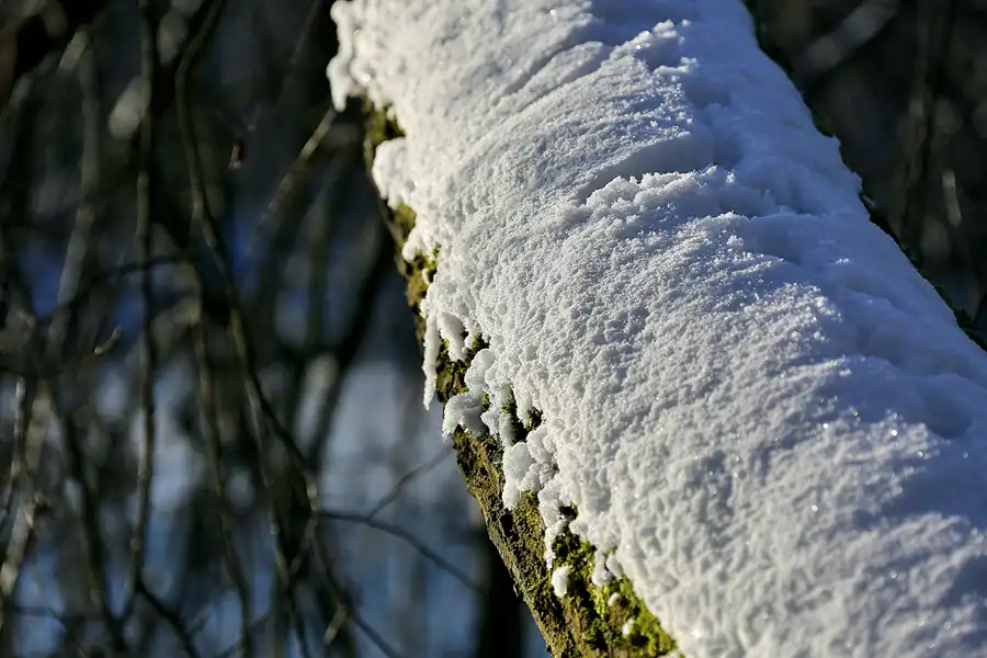 012 | 2021 | Berlin | Obersee-Orankesee-Park | © carsten riede fotografie