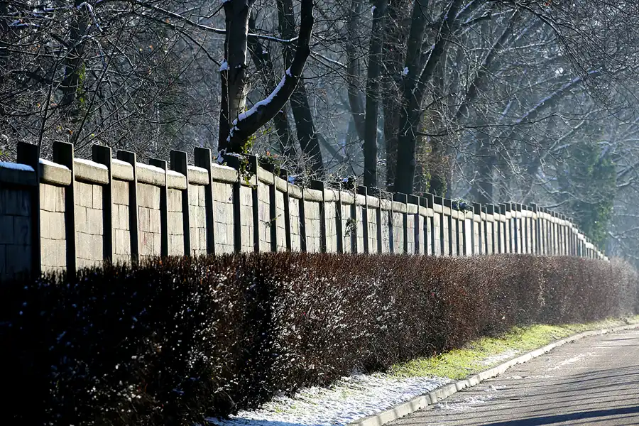 018 | 2021 | Berlin | Sportforum | © carsten riede fotografie