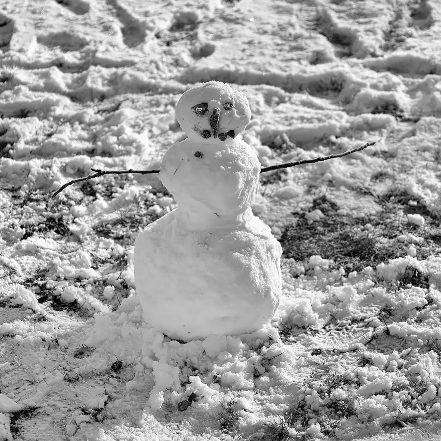 037 | 2021 | Berlin | © carsten riede fotografie