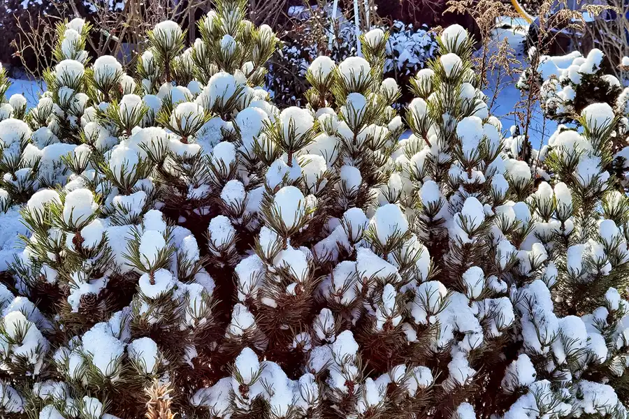 040 | 2021 | Berlin | Am Volkspark Prenzlauer Berg | © carsten riede fotografie