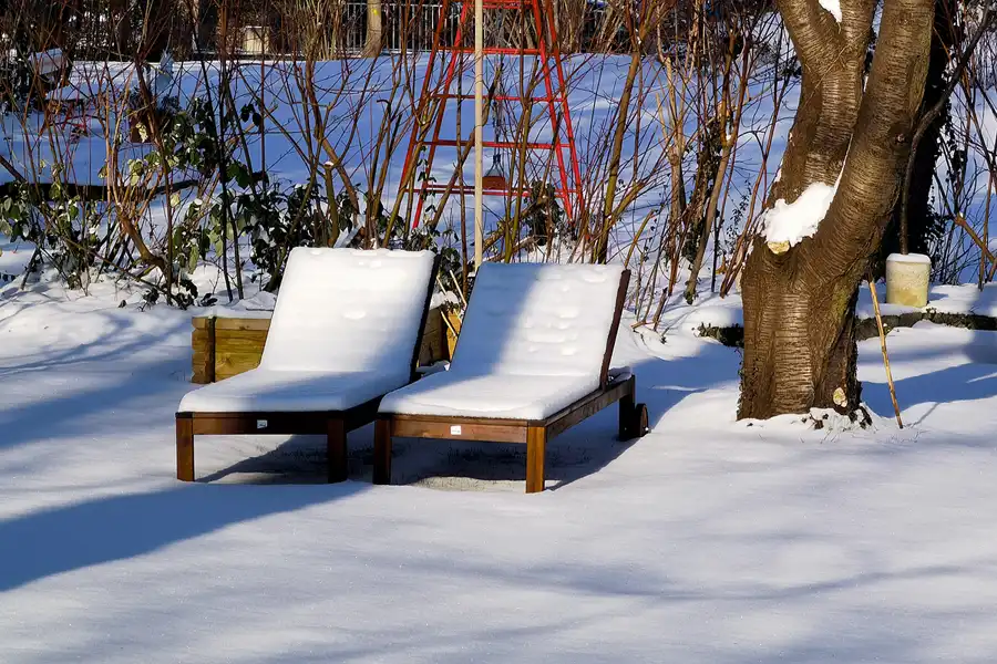 052 | 2021 | Berlin | Obersee-Orankesee-Park | © carsten riede fotografie