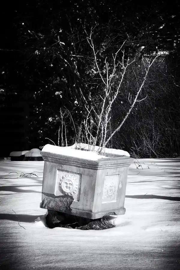 055 | 2021 | Berlin | Obersee-Orankesee-Park | © carsten riede fotografie