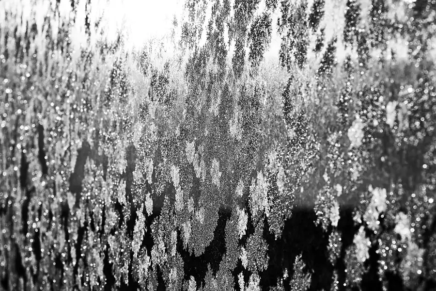 062 | 2021 | Berlin | © carsten riede fotografie