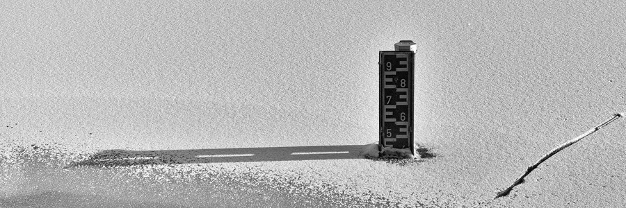 051 | 2021 | Berlin | Obersee-Orankesee-Park | © carsten riede fotografie