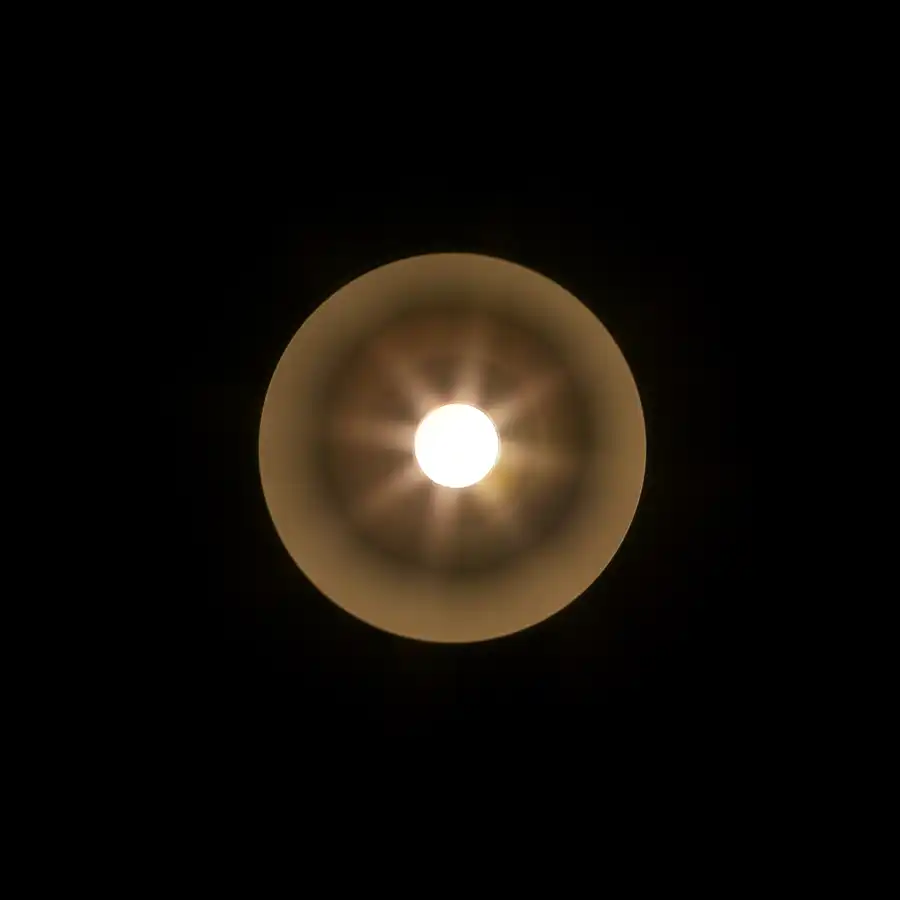 049 | 2021 | Berlin | Filmtheater Colosseum | © carsten riede fotografie