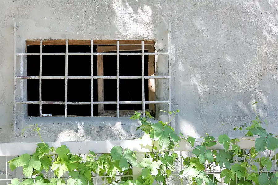 012 | 2021 | Berlin | Natur-Park Schöneberger Südgelände – ehemaliger Rangierbahnhof Tempelhof | © carsten riede fotografie