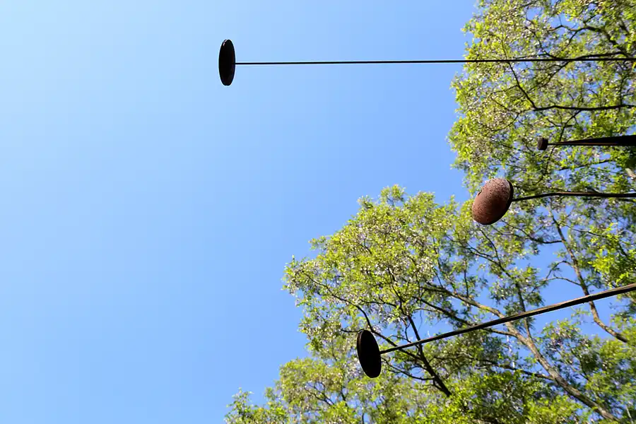 020 | 2021 | Berlin | Natur-Park Schöneberger Südgelände – ehemaliger Rangierbahnhof Tempelhof | © carsten riede fotografie