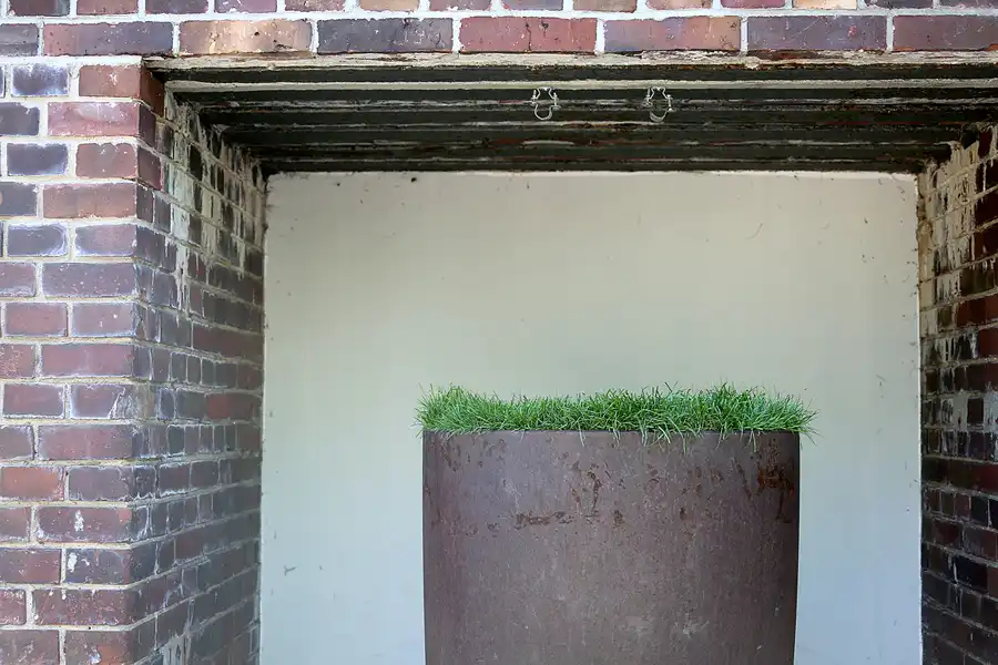 022 | 2021 | Berlin | Natur-Park Schöneberger Südgelände – ehemaliger Rangierbahnhof Tempelhof | © carsten riede fotografie