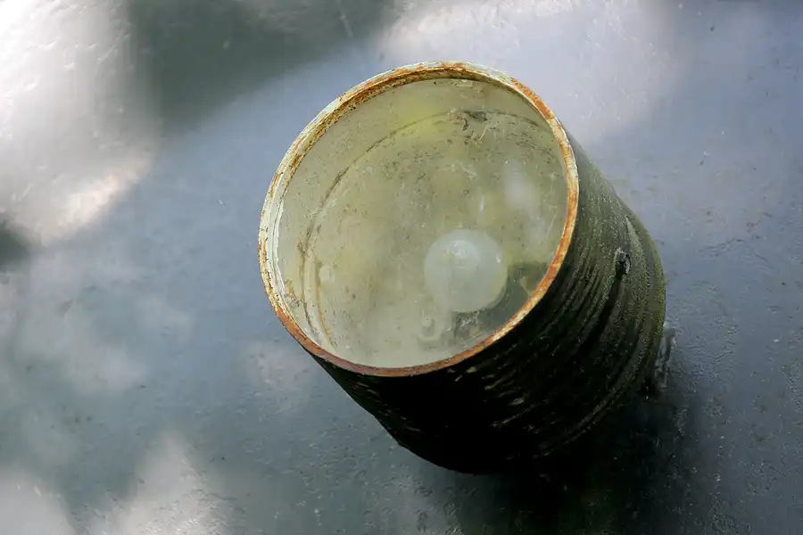 031 | 2021 | Berlin | Natur-Park Schöneberger Südgelände – ehemaliger Rangierbahnhof Tempelhof | © carsten riede fotografie