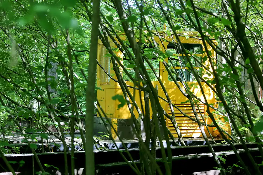 034 | 2021 | Berlin | Natur-Park Schöneberger Südgelände – ehemaliger Rangierbahnhof Tempelhof | © carsten riede fotografie