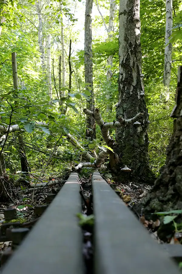 048 | 2021 | Berlin | Natur-Park Schöneberger Südgelände – ehemaliger Rangierbahnhof Tempelhof | © carsten riede fotografie