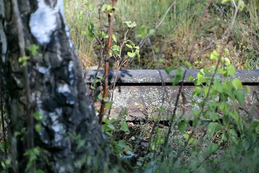 053 | 2021 | Berlin | Natur-Park Schöneberger Südgelände – ehemaliger Rangierbahnhof Tempelhof | © carsten riede fotografie