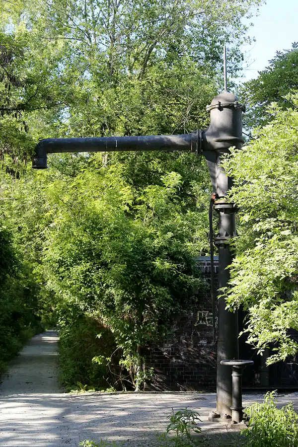 059 | 2021 | Berlin | Natur-Park Schöneberger Südgelände – ehemaliger Rangierbahnhof Tempelhof | © carsten riede fotografie