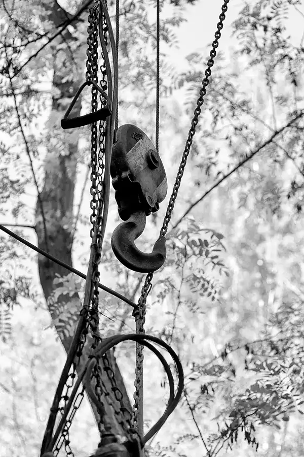 061 | 2021 | Berlin | Natur-Park Schöneberger Südgelände – ehemaliger Rangierbahnhof Tempelhof | © carsten riede fotografie