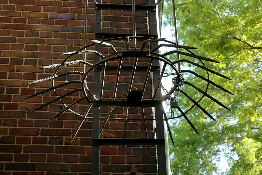 063 | 2021 | Berlin | Natur-Park Schöneberger Südgelände – ehemaliger Rangierbahnhof Tempelhof | © carsten riede fotografie