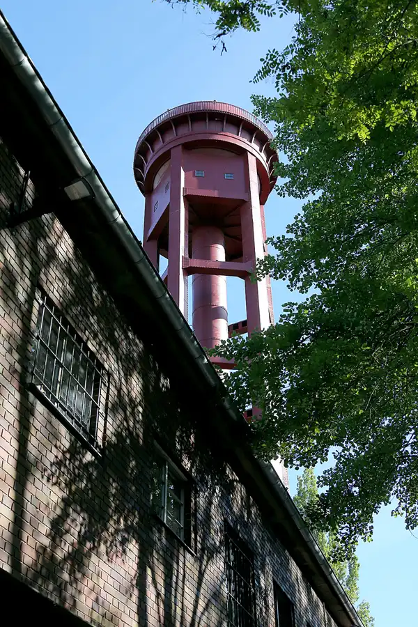 064 | 2021 | Berlin | Natur-Park Schöneberger Südgelände – ehemaliger Rangierbahnhof Tempelhof | © carsten riede fotografie