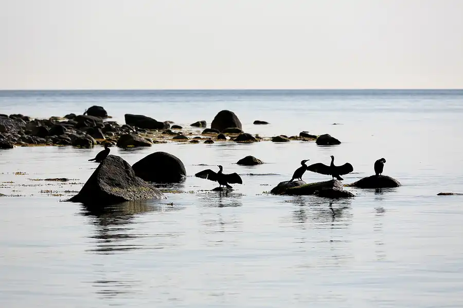 010 | 2021 | Sassnitz – Kieler Bach | Uferweg | © carsten riede fotografie