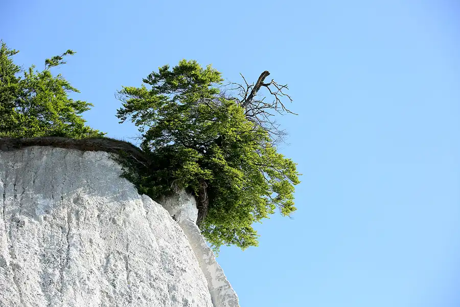 016 | 2021 | Sassnitz – Kieler Bach | Uferweg | © carsten riede fotografie
