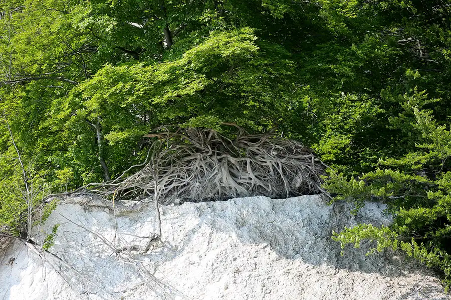 018 | 2021 | Sassnitz – Kieler Bach | Uferweg | © carsten riede fotografie