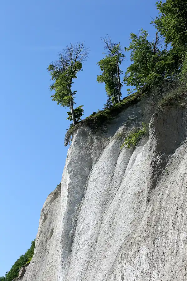 021 | 2021 | Sassnitz – Kieler Bach | Uferweg | © carsten riede fotografie