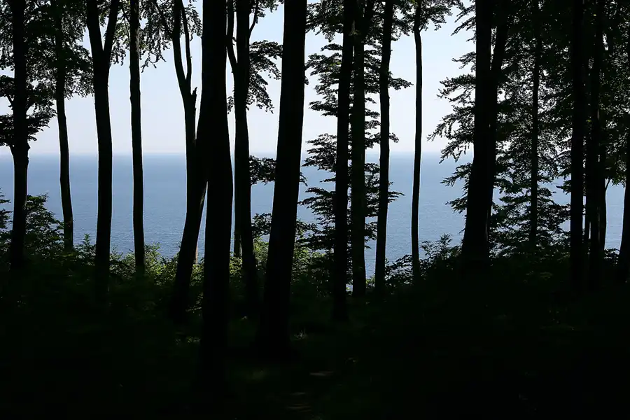 027 | 2021 | Kieler Bach – Sassnitz | Hochuferweg | © carsten riede fotografie