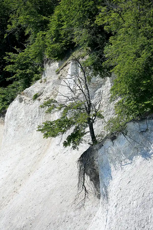 033 | 2021 | Kieler Bach – Sassnitz | Hochuferweg | © carsten riede fotografie