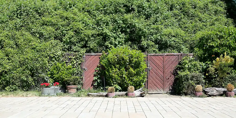 046 | 2021 | Sassnitz | © carsten riede fotografie