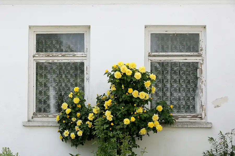 107 | 2021 | Putbus | © carsten riede fotografie