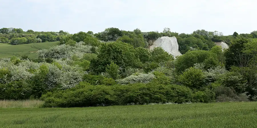 195 | 2021 | Gummanz | Kleiner Königsstuhl | © carsten riede fotografie