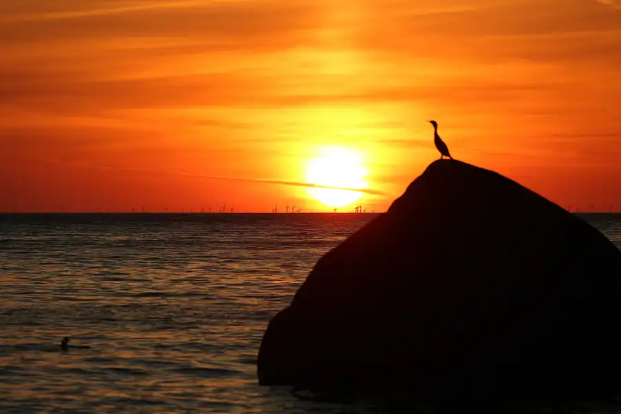 089 | 2021 | Lohme | Sonnenaufgang am Schwanenstein | 2021-06-17 – 04:33 | T plus 7 Minuten | © carsten riede fotografie