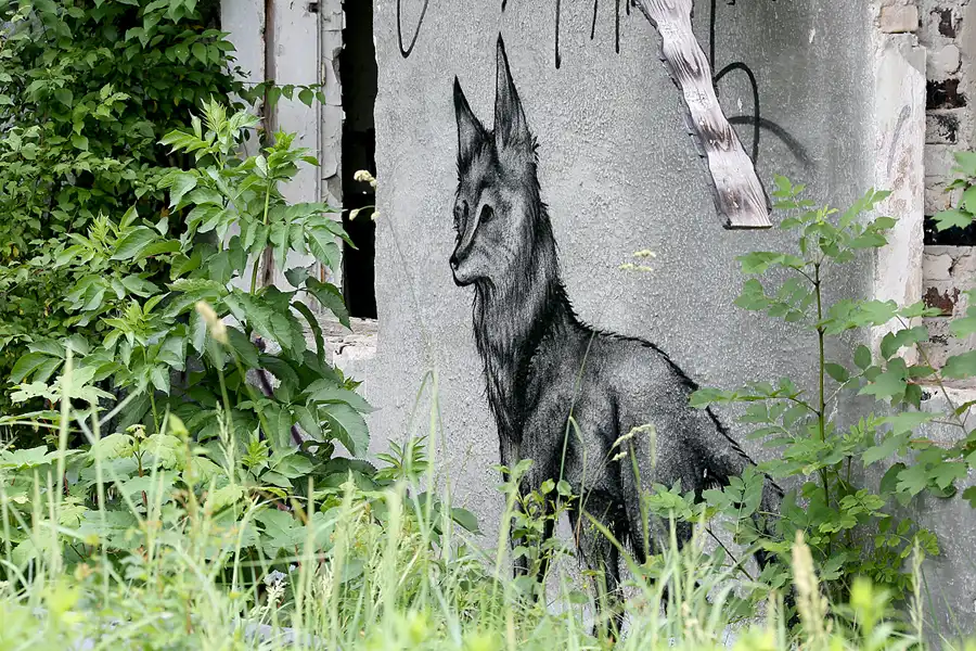 016 | 2021 | Schönwalde | Flugplatz Schönwalde | © carsten riede fotografie