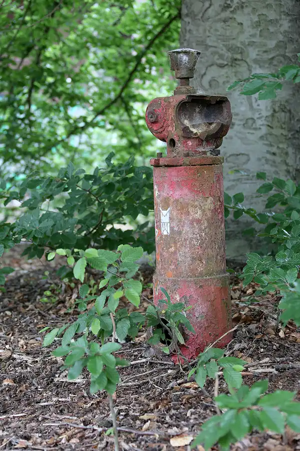 044 | 2021 | Schönwalde | Flugplatz Schönwalde | © carsten riede fotografie