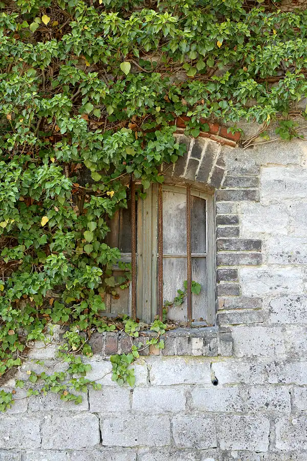 070 | 2021 | Rüdersdorf | © carsten riede fotografie