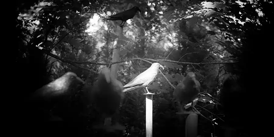 069 | 2021 | Milda – OT Plinz | Skulpturengarten | © carsten riede fotografie