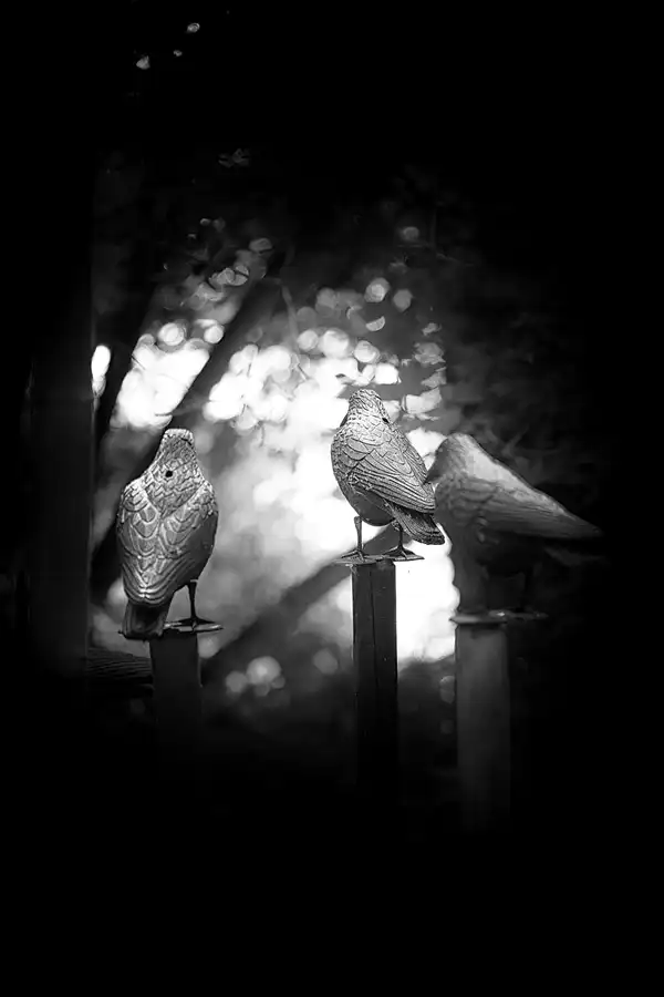 070 | 2021 | Milda – OT Plinz | Skulpturengarten | © carsten riede fotografie