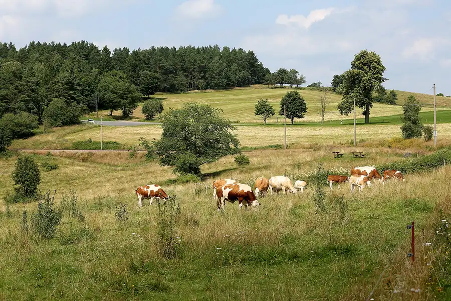 043 | 2021 | Lichtenhain/Bergbahn | © carsten riede fotografie