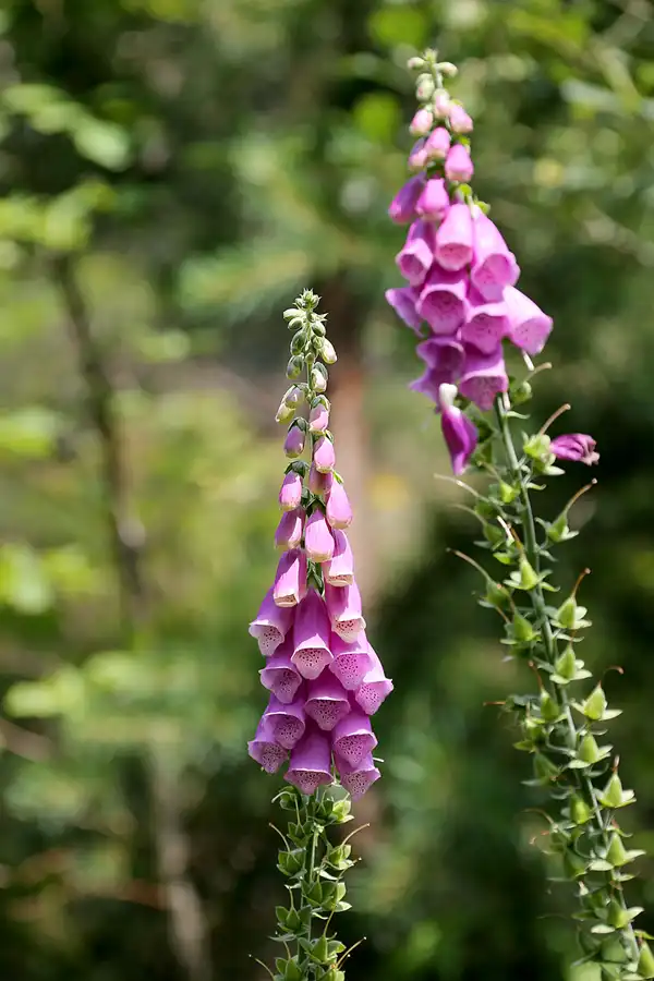 056 | 2021 | Oberweissbach-Deesbach | © carsten riede fotografie