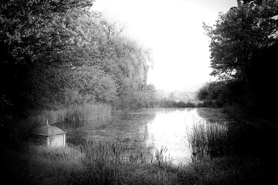 014 | 2021 | Weimar | Schlosspark Belvedere | © carsten riede fotografie