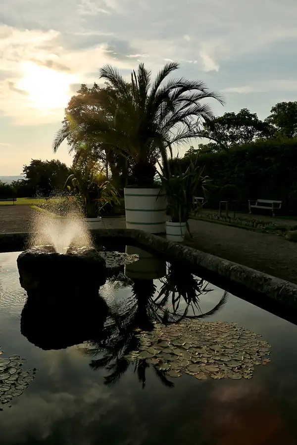 016 | 2021 | Weimar | Schlosspark Belvedere | © carsten riede fotografie