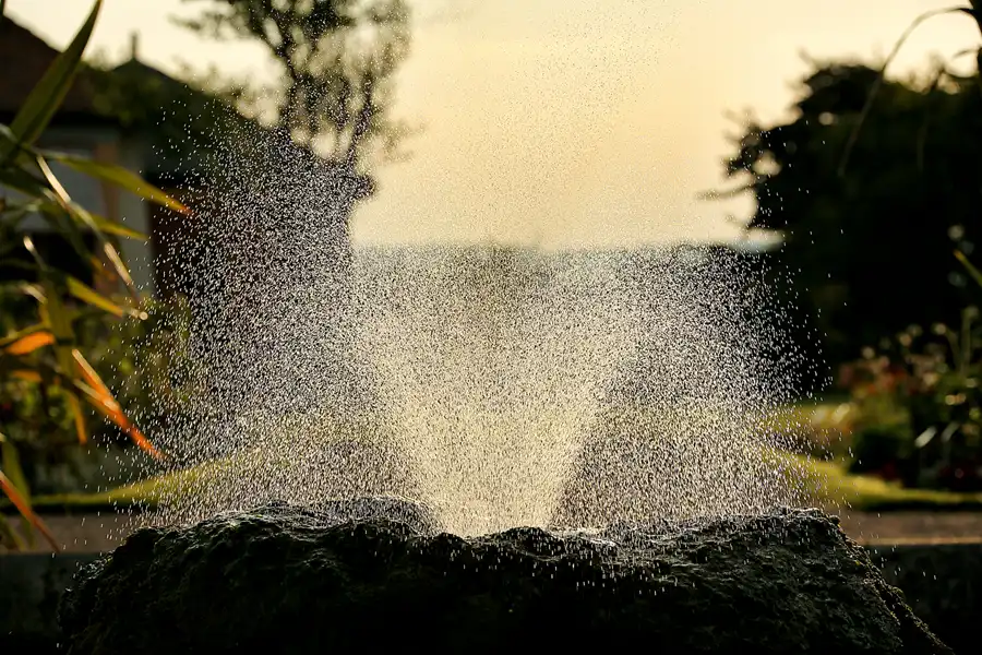 017 | 2021 | Weimar | Schlosspark Belvedere | © carsten riede fotografie