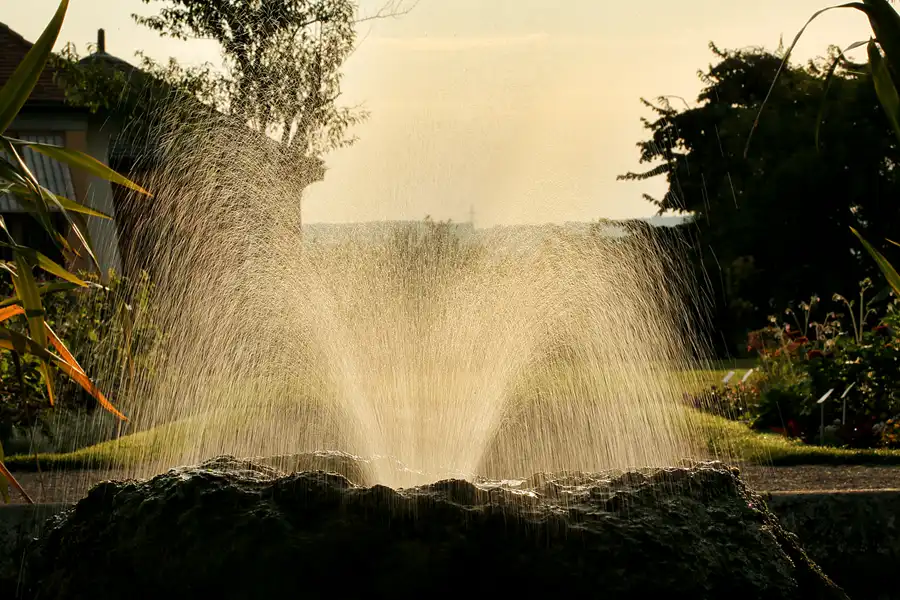 018 | 2021 | Weimar | Schlosspark Belvedere | © carsten riede fotografie